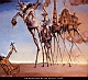Dali Las tentaciones de San Antonio (1946).gif