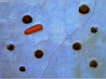 Miro Azul I (1961).gif
