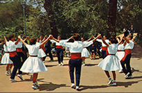 Flamenco - La Sardana